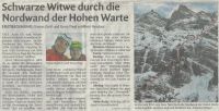 Schwarze Witwe